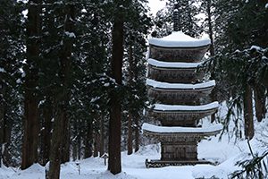 山形県期限後申告支援センター