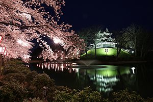 新潟県期限後申告支援センター