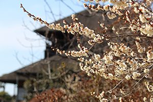 茨城県大家さんの税務支援センター