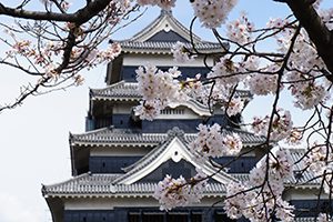 長野県公益法人税務会計支援センター