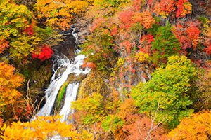 栃木県運送業会計支援センター